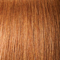 14A Color 13x4 Frontal Wig Straight